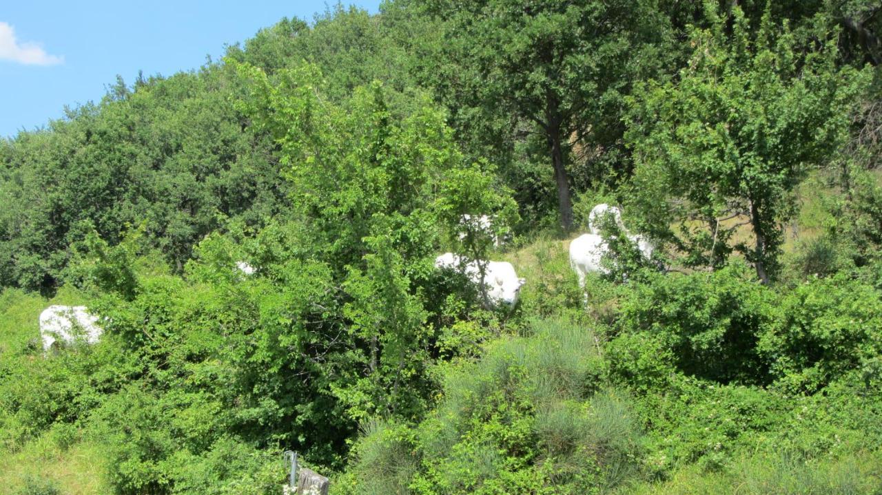 Hotel Casale Le Fontanelle Monte Grimano Terme Exterior foto
